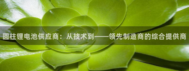 k豆钱包是啥