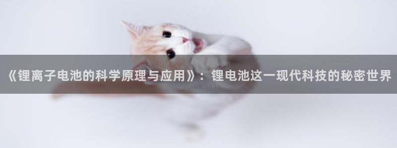 k豆钱包最新下载