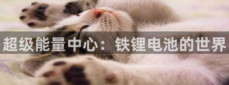k豆钱包提现