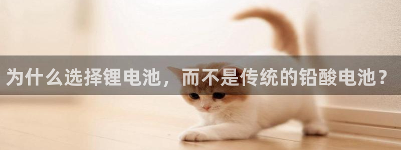 k豆钱包怎么买朋友的豆