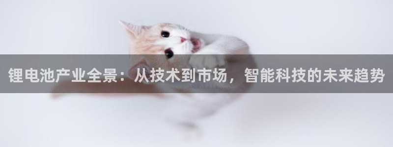 下载一个k豆钱包