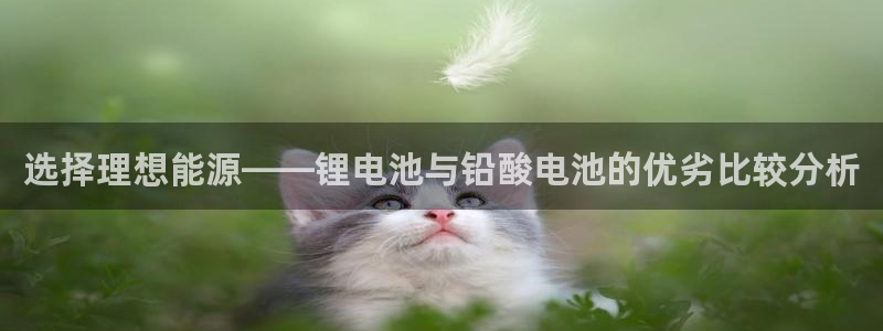 k豆钱包在哪里下载