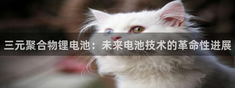 k豆钱包app官网