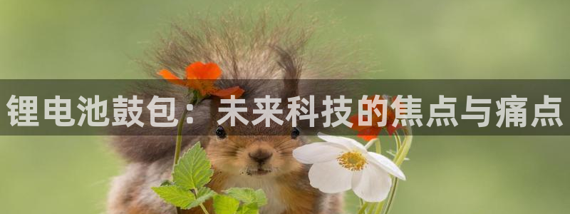 k豆钱包下载链接