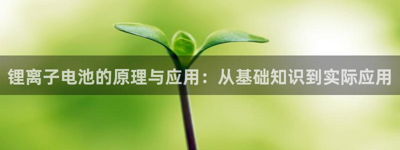k豆pay钱包