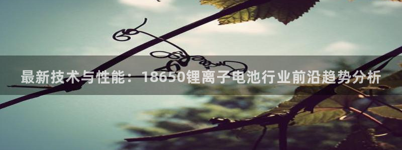 k豆钱包代付
