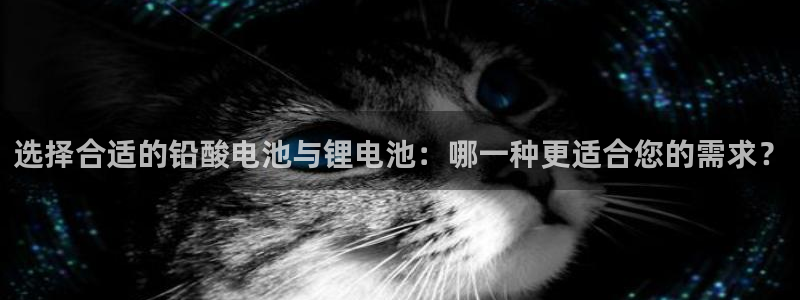 如何下载k豆钱包