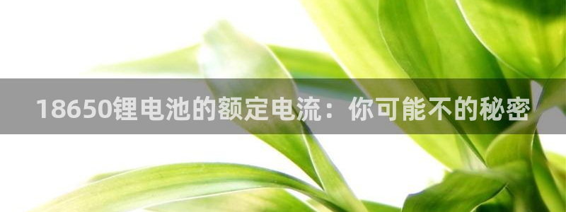 k豆钱包的用途