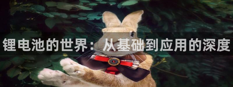 怎么下载k豆钱包