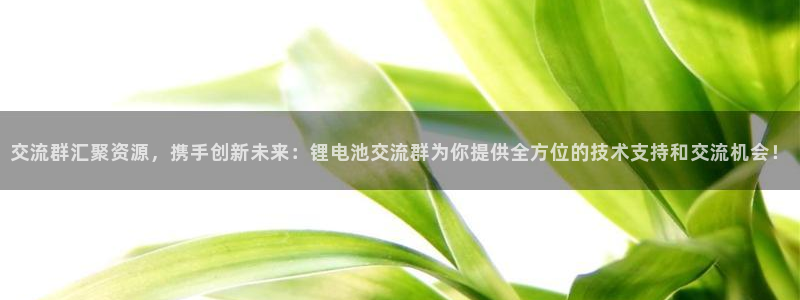 k 豆钱包 app