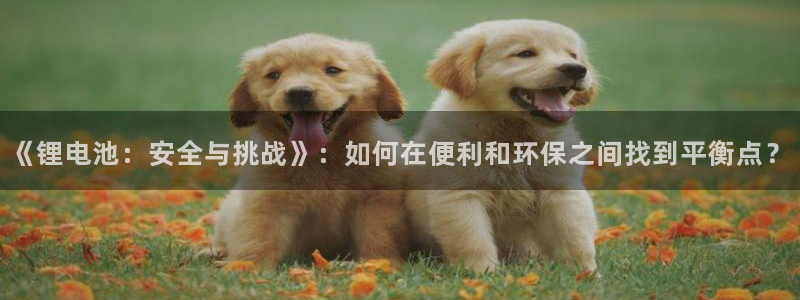 k豆钱包怎么提现