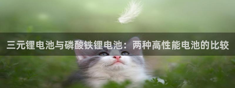 k豆钱包会风控吗