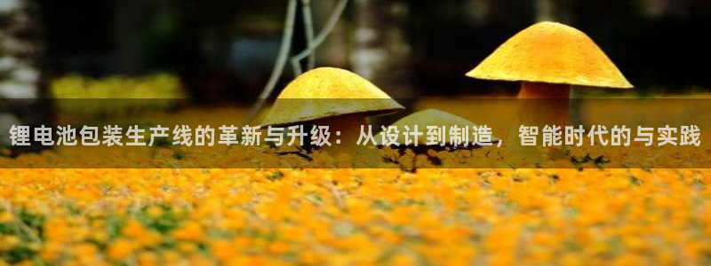 怎么下载k豆钱包app