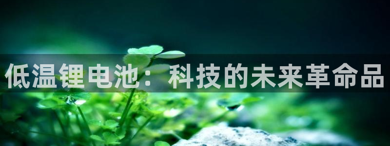 k豆钱包为什么下载不得呢
