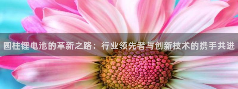 k豆钱包在哪里下载