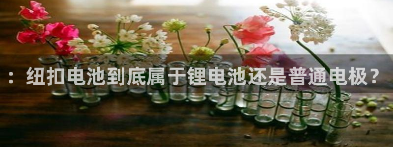 k豆钱包下载入口