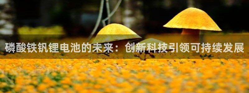 k豆钱包的用途
