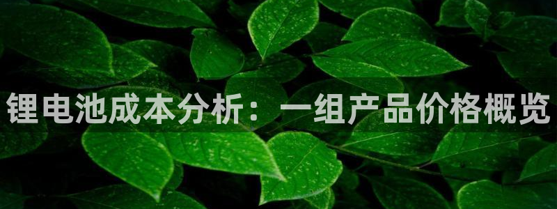 k 豆钱包