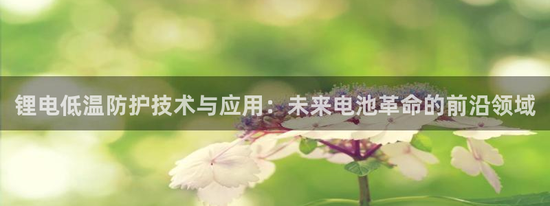k豆钱包官网平台