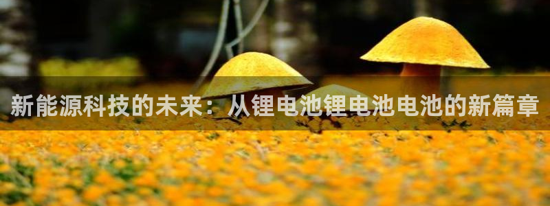 k豆钱包是正规平台吗