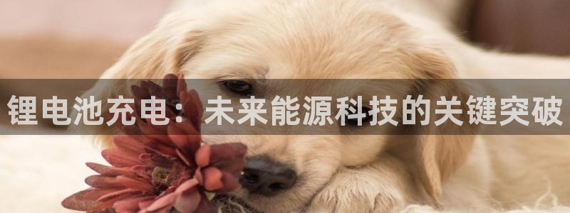 k豆钱包安全可靠吗