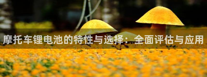 k豆钱包最新下载