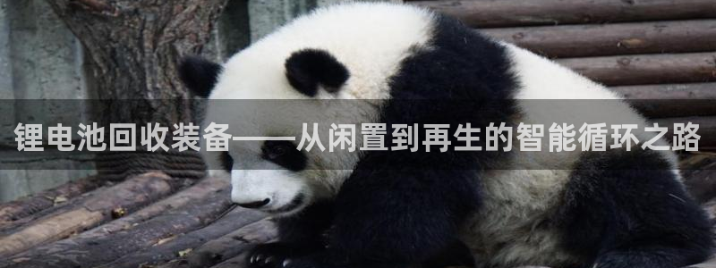 k豆钱包直接下载