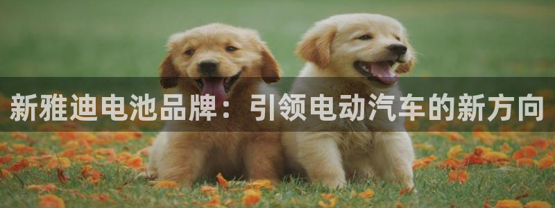 下载k豆钱包安装到手机