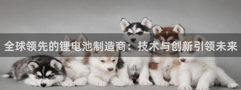 什么是k豆钱包