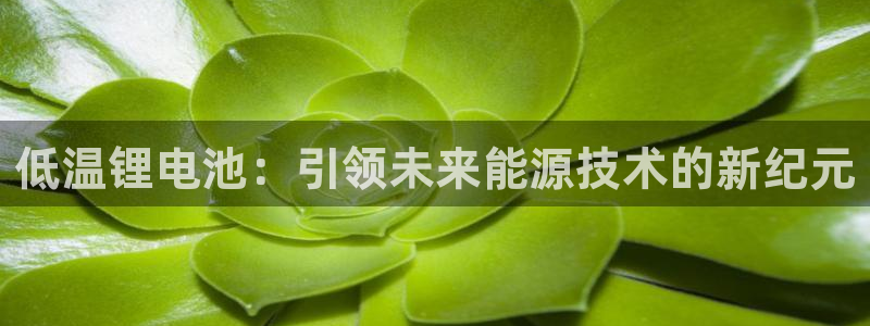 k豆钱包怎么玩的